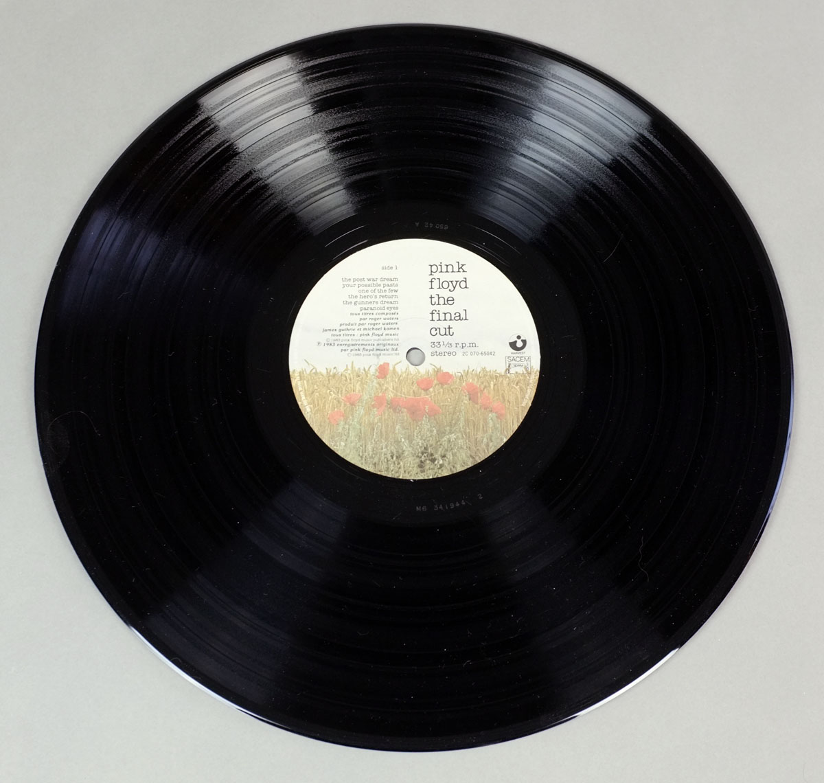 High Resolution Photo #5 PINK FLOYD Final Cut France 